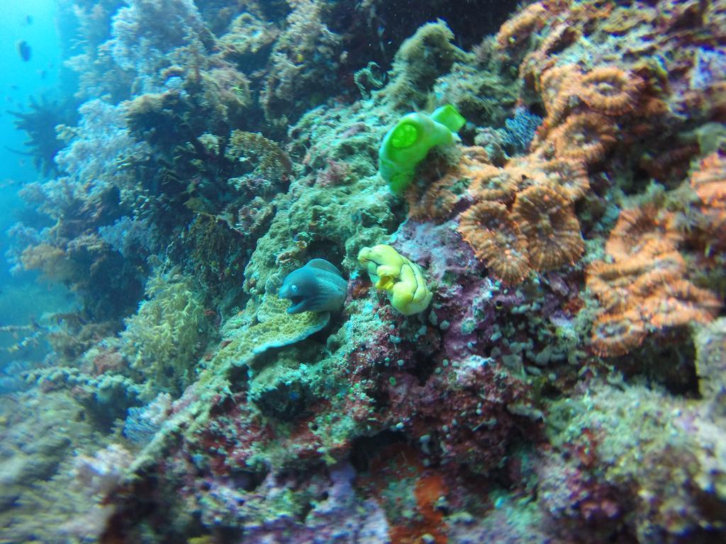 Coco White Beach Resort Bohol Bagian luar foto